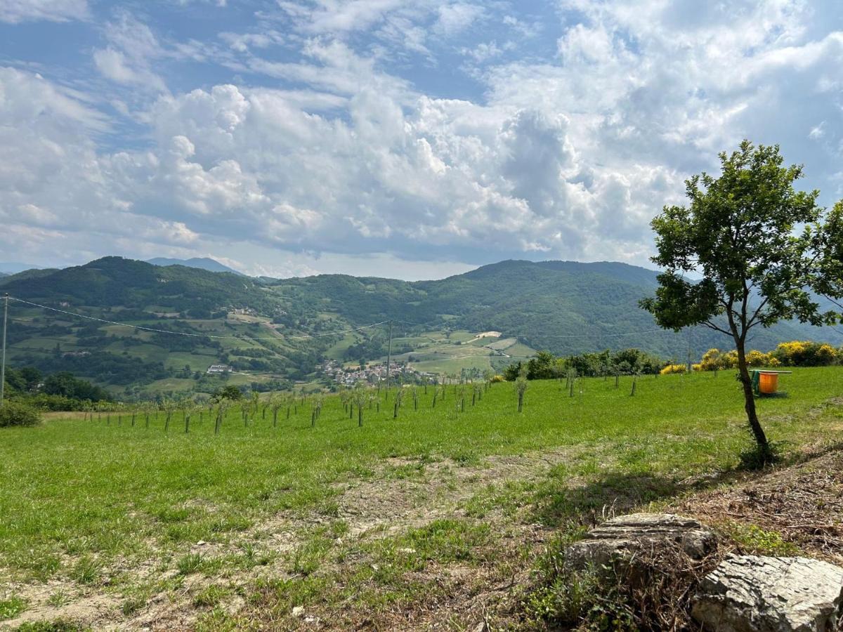 Agriturismo Cergallina Vernasca Exteriér fotografie