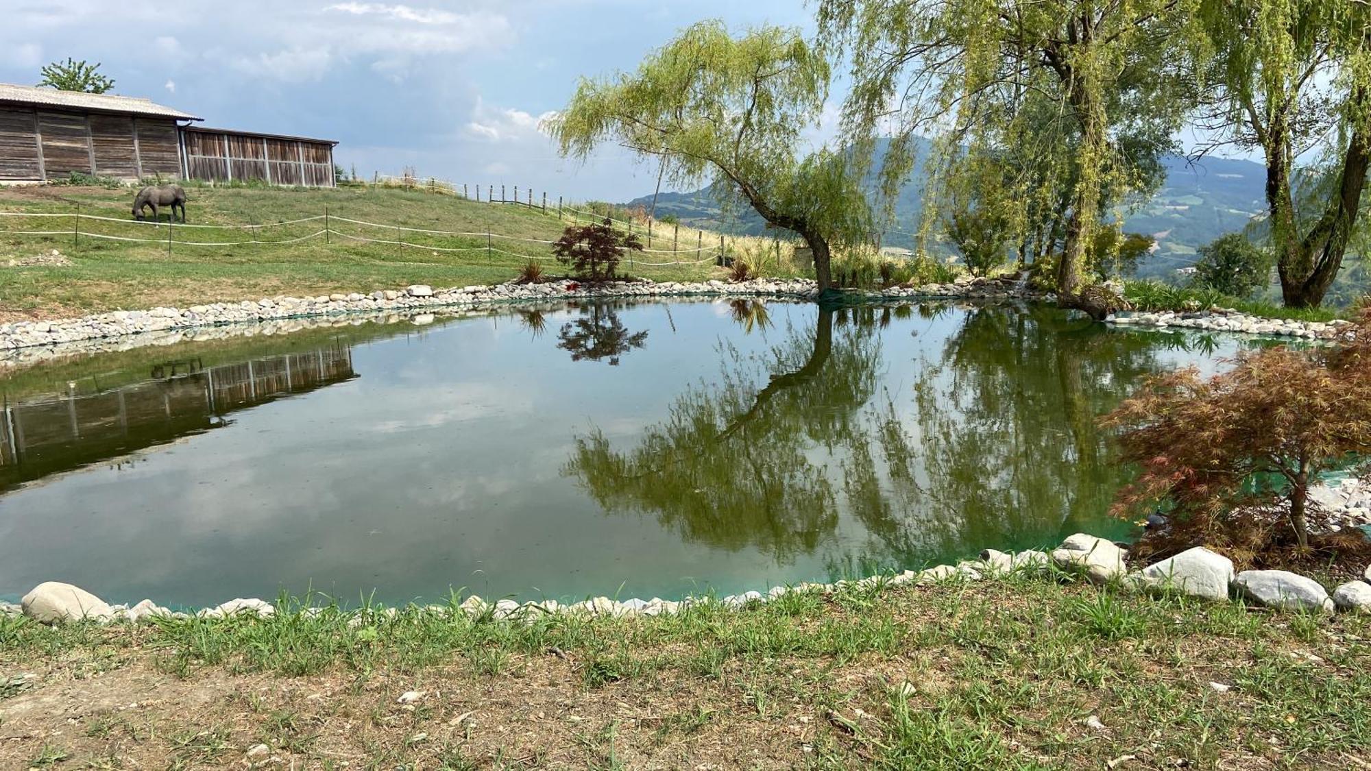 Agriturismo Cergallina Vernasca Exteriér fotografie
